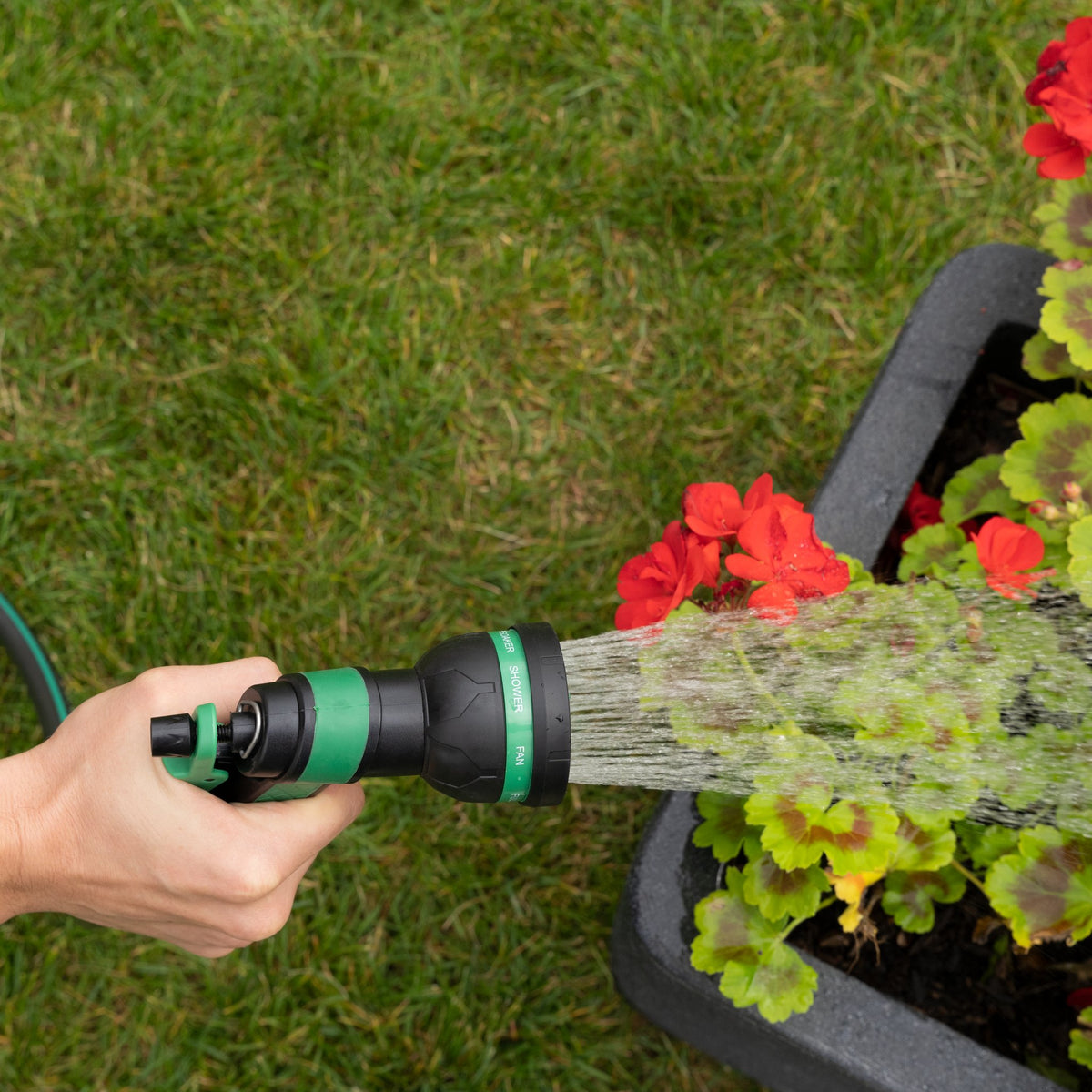 Hand gießt mit der Gartenbrause rote Geranien in einem Pflanzkasten auf dem Rasen
