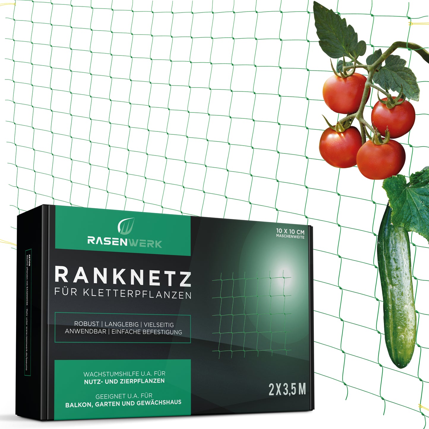 Ranknetz