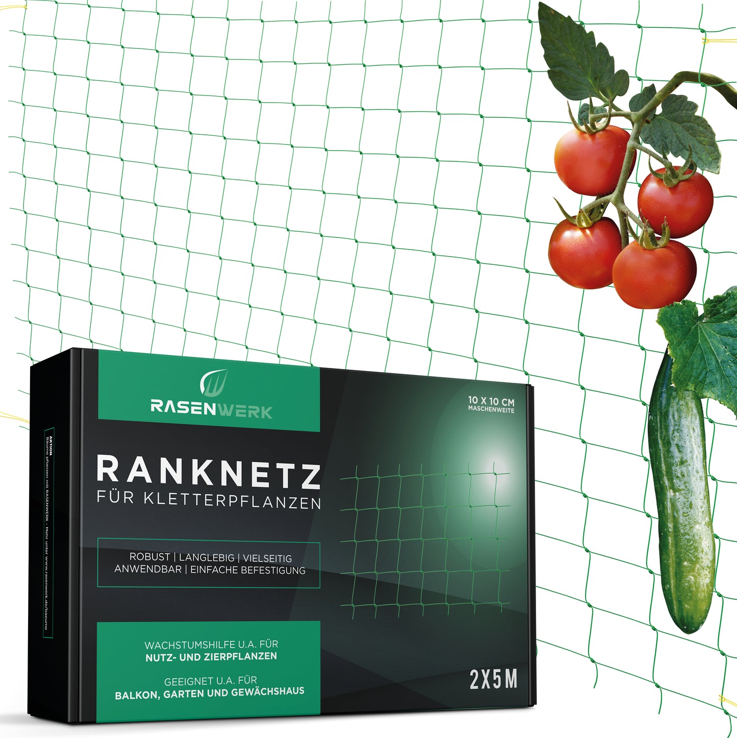 Ranknetz
