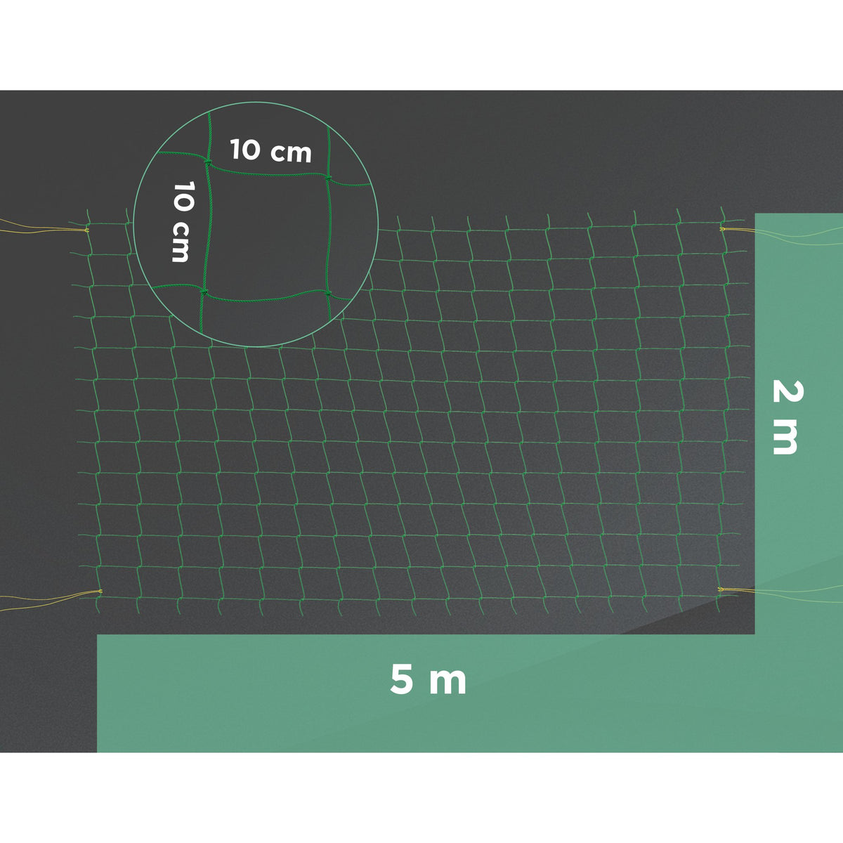 Ranknetz 2 × 5 m mit Maßangaben und Maschenweite 10 × 10 cm (Hintergrund digital erstellt)