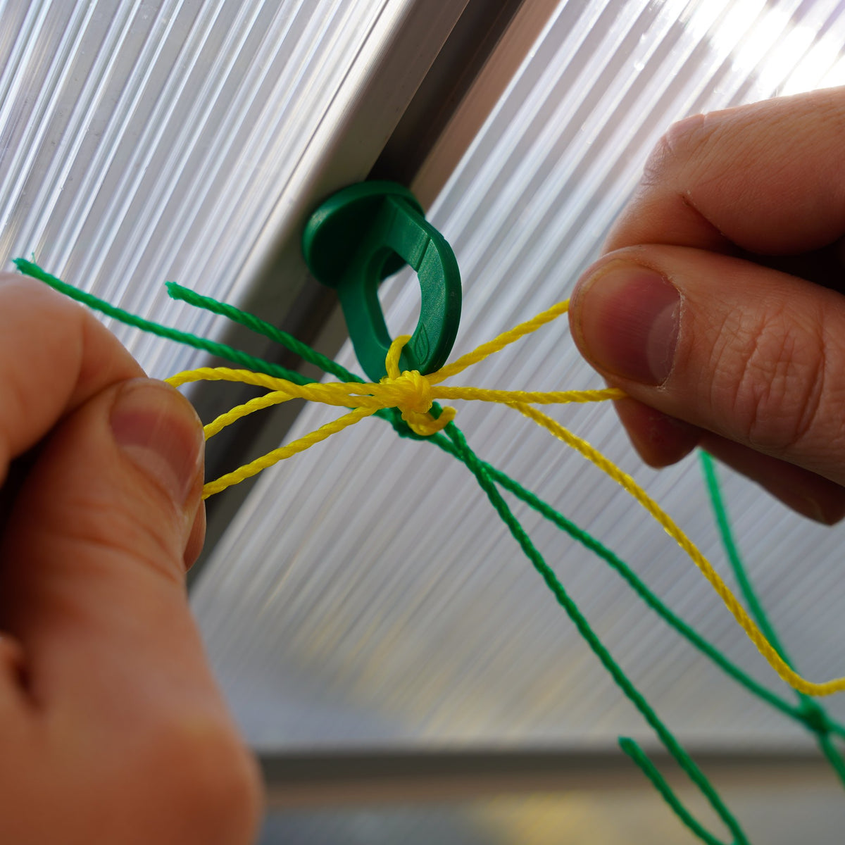 Hände knoten das Ranknetz mit gelber Schnur an einem Gewächshausclip unter dem Dach fest