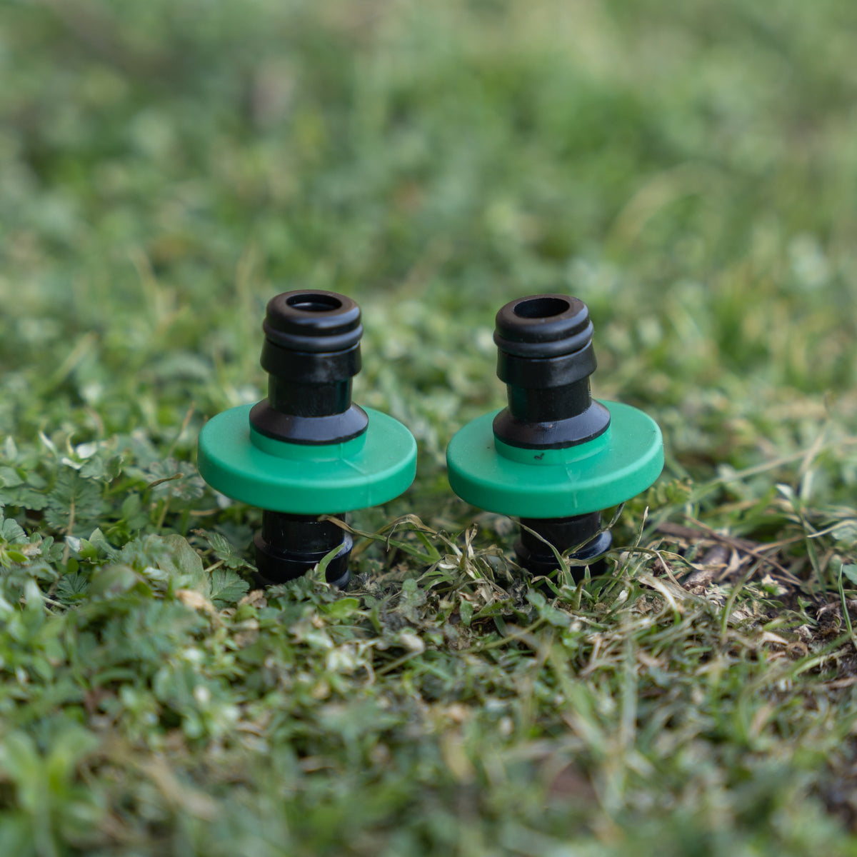 Zwei Schlauchkupplungen stehen aufrecht im Gras