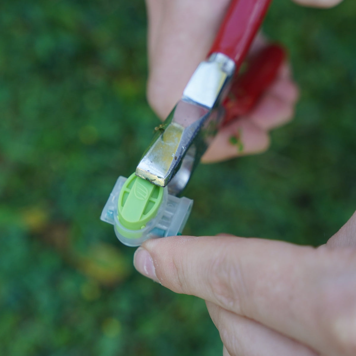 Grüne Kappe der Verbindungsklemme wird mit einer Zange zugedrückt, Hände im Garten