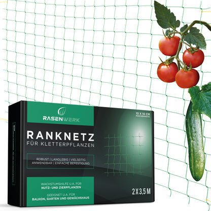 Ranknetz