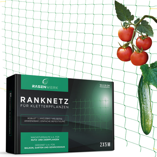 Ranknetz